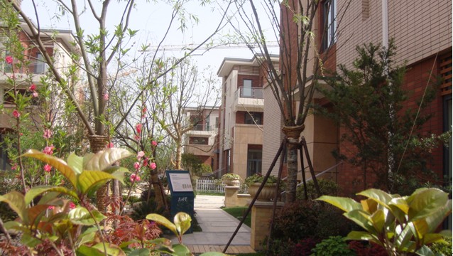 201006241630508115800